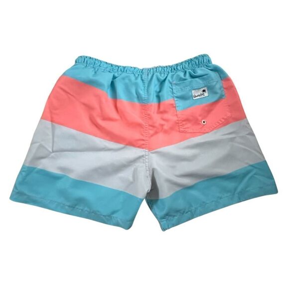 Boardies ~ Mens Colorblock swimshorts ~ lined ~ size Large - Picture 2 of 10
